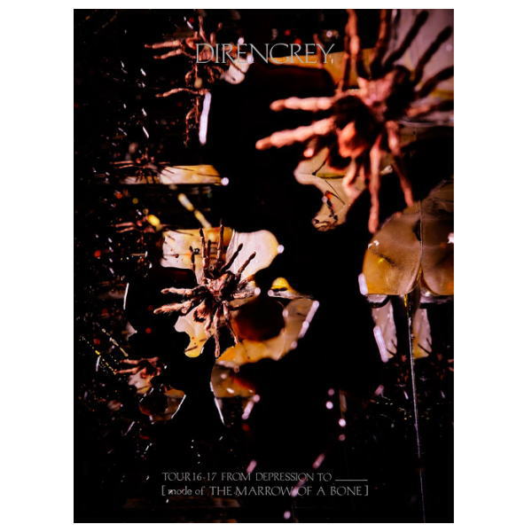 [Album] DIR EN GREY – TOUR16-17 FROM DEPRESSION TO          [mode of THE MARROW OF A BONE][MP3 + FLA…