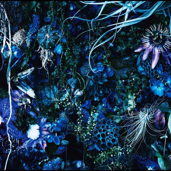 [Album] SUGIZO – ONENESS M [MP3 / RAR]