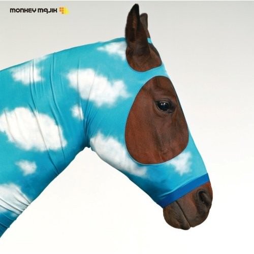 [Album] MONKEY MAJIK – Sora wa Maru de [MP3 + FLAC / CD / RAR]