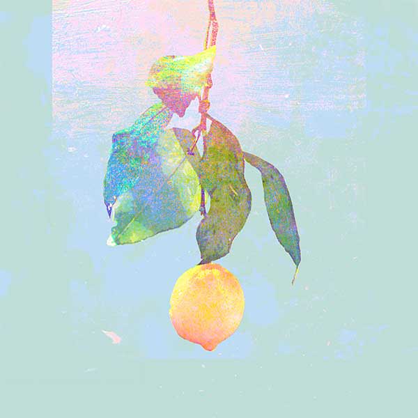 [DVD] Kenshi Yonezu – Lemon [MKV]