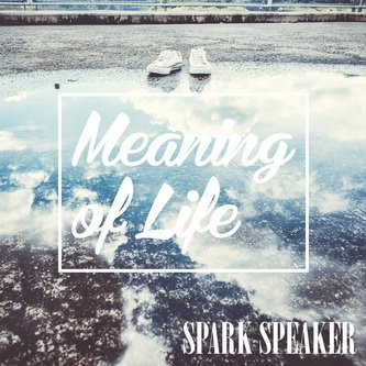 [MUSIC VIDEO] SPARK SPEAKER – Meaning of Life (2018/MP4/RAR)