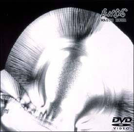 [MUSIC VIDEO] ends – MAGIC HOUR (2001.10.24/MP4/RAR)
