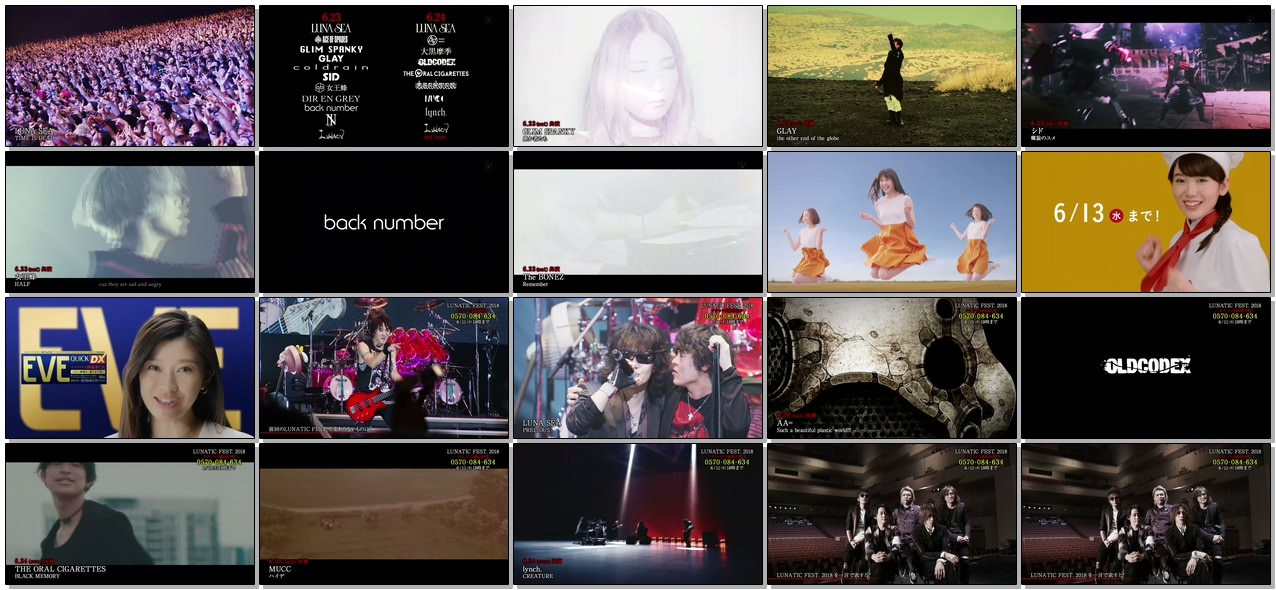 [TV-SHOW] LUNATIC FEST.2018直前スペシャル (2018.06.11)