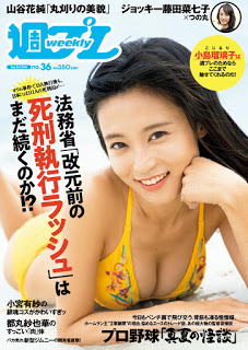 [雑誌] 週刊プレイボーイ 2018年36号 [Weekly Playboy 2018-36]