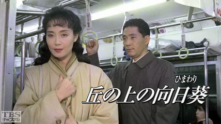 [ドラマ] 丘の上の向日葵 (1993)