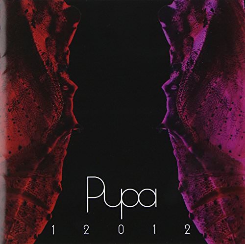 [MUSIC VIDEO] 12012 BEST ALBUM PUPA 2007~2011 付属DVD (2013.12.11/MP4/RAR)