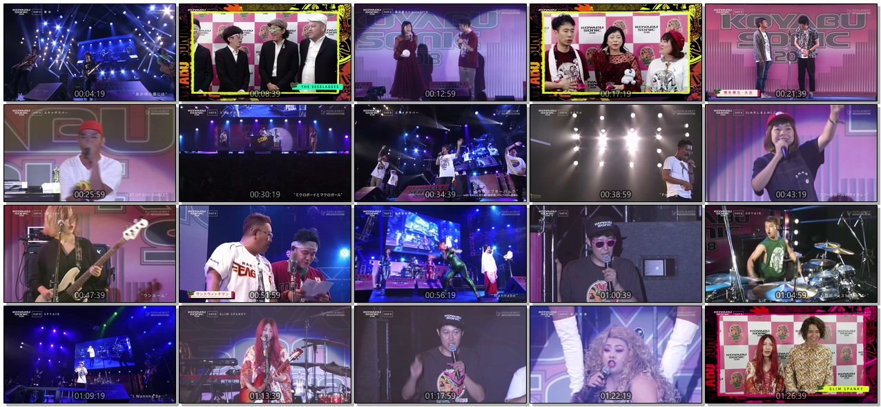 [TV-SHOW] コヤブソニック2018 ＜DAY2＞ (2018.11.18)