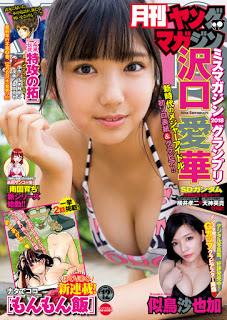[雑誌] 月刊ヤングマガジン 2018年12月号 [Gekkan Young Magazine 2018-12]