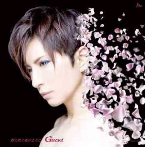 [MUSIC VIDEO] GACKT – No ni Saku Hana no Yo Ni (2007/MP4/RAR) (DVDVOB)