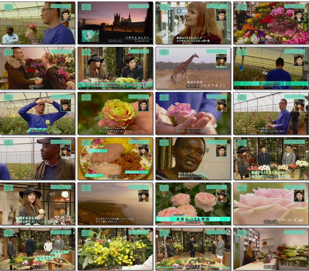 [TV-SHOW] 世界はほしいモノにあふれてる「カラフル！名もなき幻のバラロンドン＆ケニア」 (2018.06.07)