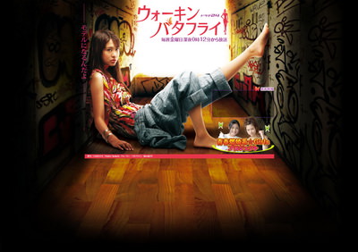 [ドラマ] ウォーキン・バタフライ (2008)