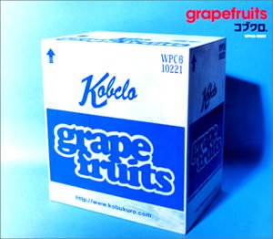[Album] コブクロ – grapefruits (2002.08.28/MP3/RAR)