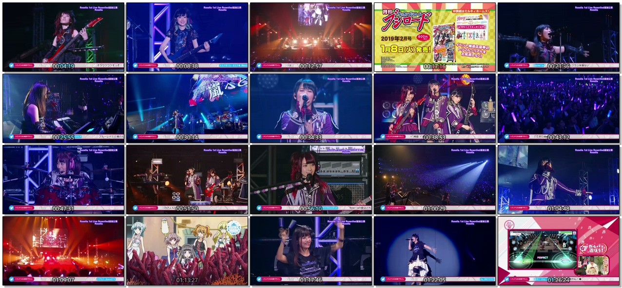 [TV-SHOW] Roselia 1st Live「Rosenlied」追加公演 (2019.01.03)