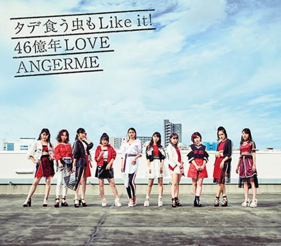 [MUSIC VIDEO] アンジュルム『タデ食う虫もLike it!/46億年LOVE』メイキングDVD (2018.10.31/MP4/RAR) (DVDISO)