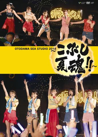 [TV-SHOW] OTODAMA SEA STUDIO 2018 ～こぶし夏魂！！～ (2019.01.16) (DVDISO)