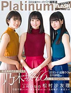 [雑誌] Platinum FLASH (プラチナフラッシュ) vol.8