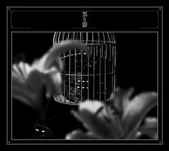 [MUSIC VIDEO] 黒夢 – 黒と影 (2014.01.29/MP4/RAR) (DVDISO)