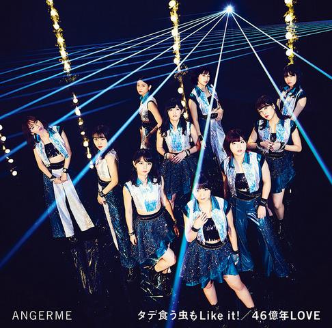 [MUSIC VIDEO] ANGERME タデ食う虫もLike it!/46億年LOVE (Limited Edition B DVD) (2018.10.31/MP4/RAR) (DVDISO)