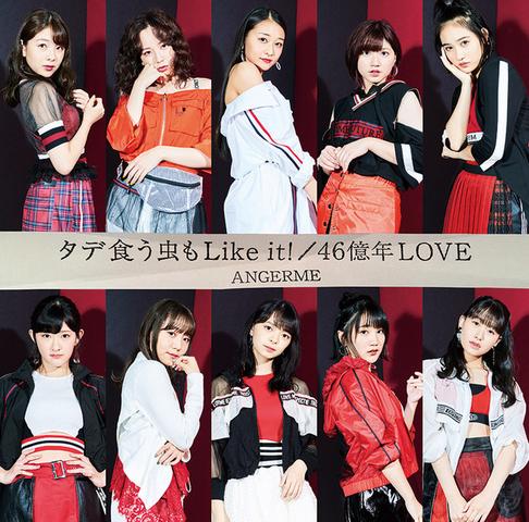 [MUSIC VIDEO] ANGERME タデ食う虫もLike it!/46億年LOVE (Limited Edition SP DVD) (2018.10.31/MP4/RAR) (DVDISO)