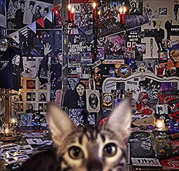 [MUSIC VIDEO] BUCK-TICK – CATALOGUE 1987-2016 (2017.09.20/MP4/RAR) (DVDRIP)