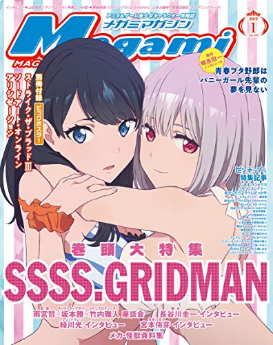 [雑誌] メガミマガジン 2019年01月号