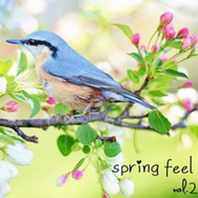[Album] Various Artists – Spring feel Vol.2 (MP3/RAR)
