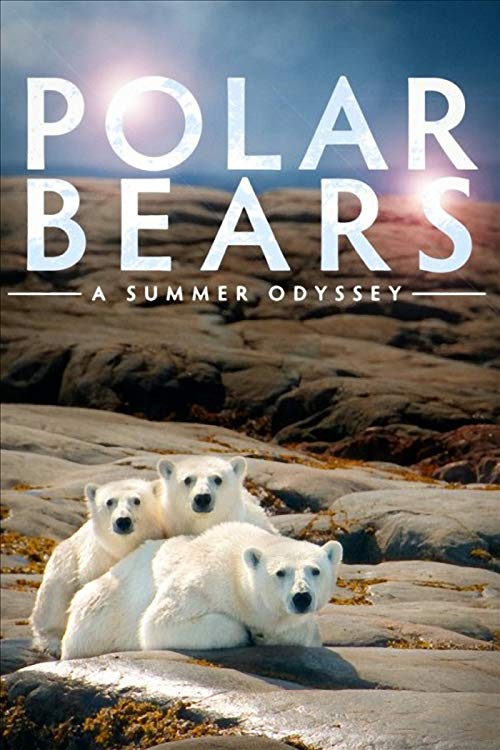 [MOVIES] Polar Bears : A Summer Odyssey (ホッキョクグマの夏) (2019) (BDRIP)