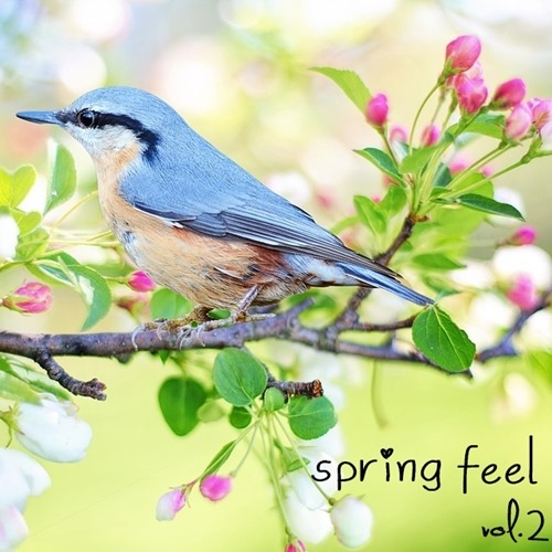 [Album] Various Artists – Spring feel Vol.2 [MP3 / RAR]
