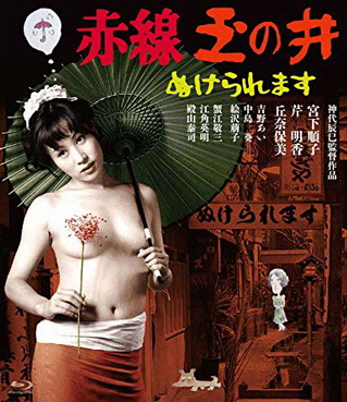 [MOVIES] 赤線玉の井 ぬけられます (1974) (BDRIP)