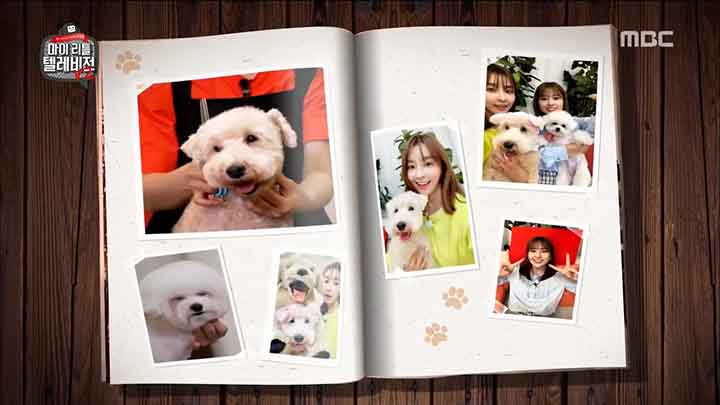 【バラエティ番組】190503 IZONE – My Little Television v2 ep06.mp4