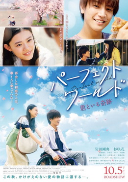 [MOVIES] パーフェクトワールド 君といる奇跡 (2018) (BDRIP)