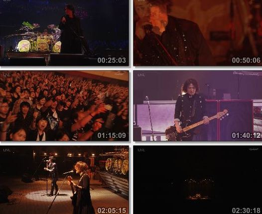 [TV-Variety] 生中継！LUNA SEA 30th anniversary LIVE -Story of the ten thousand days (WOWOW Prime 2019.06.01)