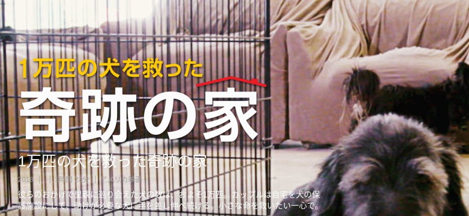[MOVIES] 1万匹の犬を救った奇跡の家 (WEBRIP)