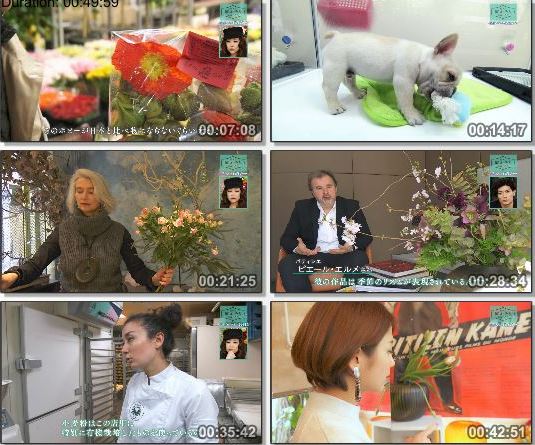 [TV-Variety] 世界はほしいモノにあふれてる – フランス癒やしの花 最高のブーケを探す旅