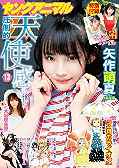 [雑誌] ヤングアニマル 2019年13号