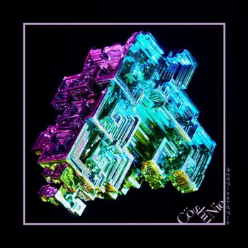 [Single] Cö shu Nie – サイコプール≒レゴプール (2019.07.31/AAC/RAR)
