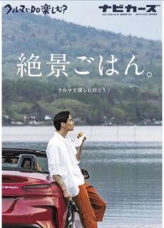 [雑誌] NAVI CARS (ナビカーズ) VOL.41-42