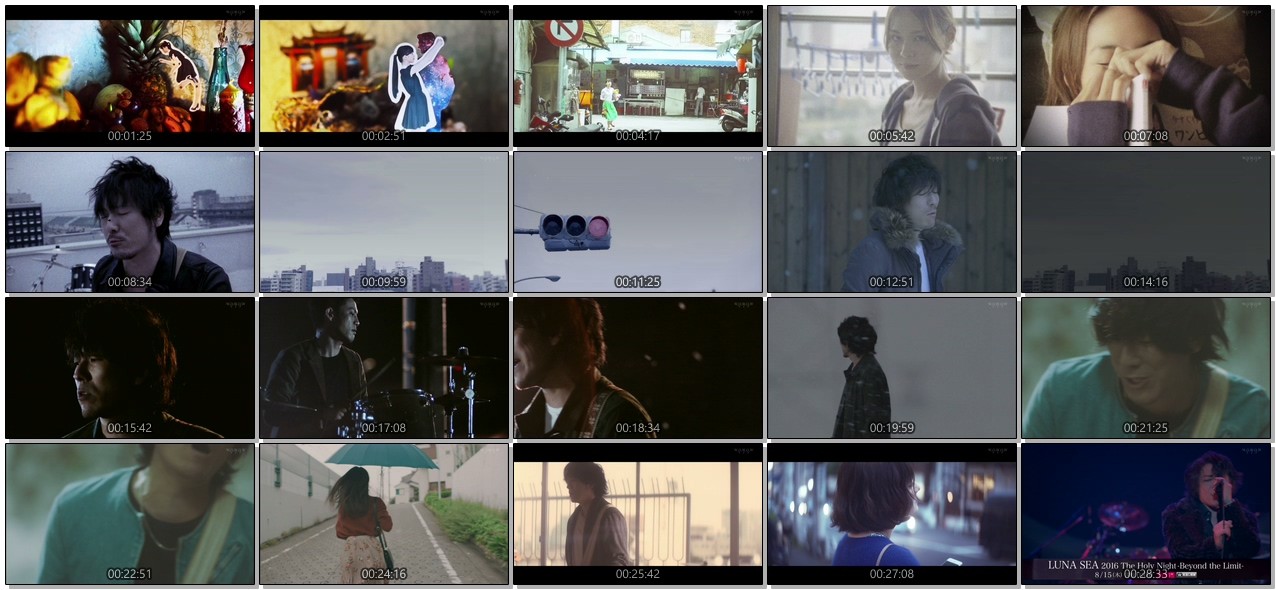 [TV-Variety] バックナンバー – back number Music Video Collection vol.2-5 (2019.08.03)