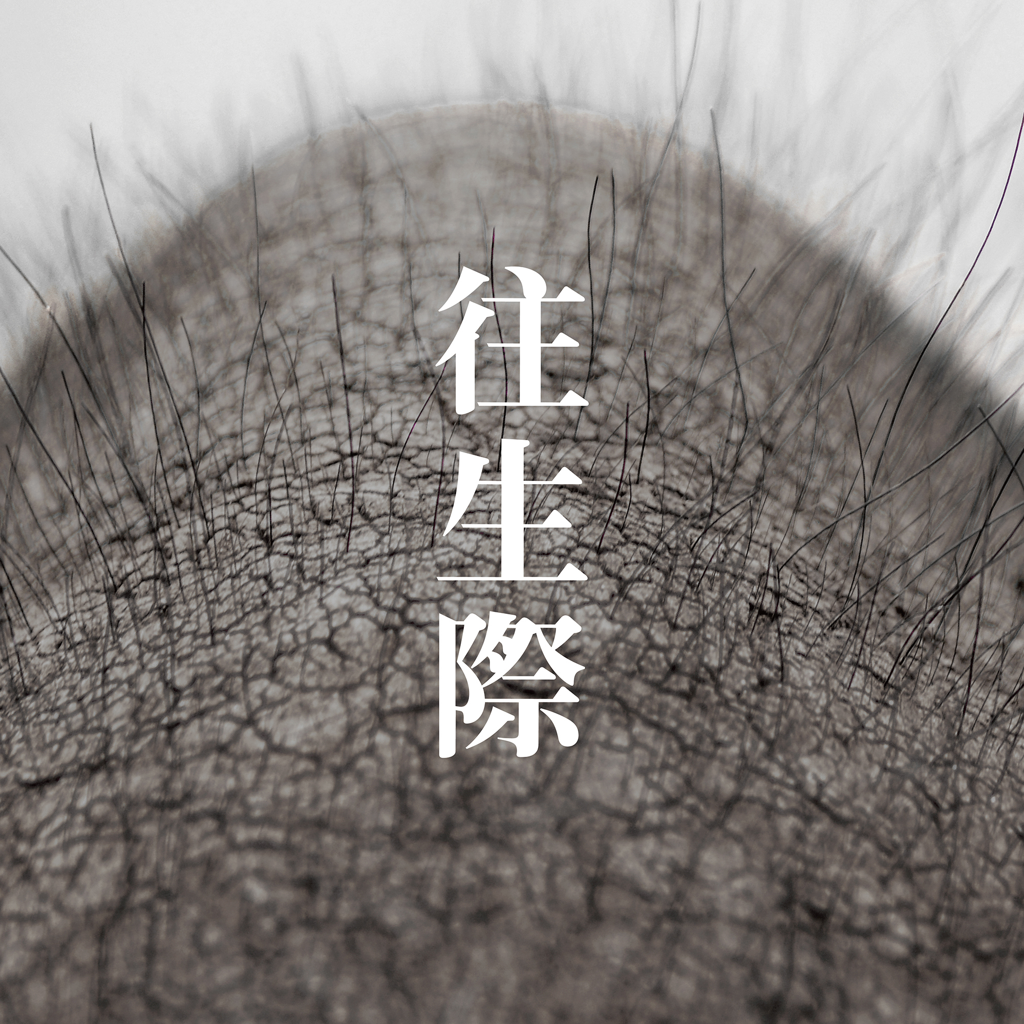 [Single] yonige – 往生際 (2019.08.07/MP3/RAR)