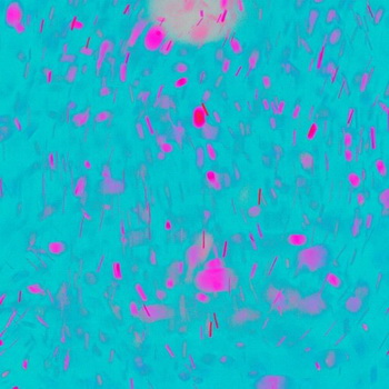 [Single] DAOKO – はじめましての気持ちを (2019.09.04/MP3+Hi-Res FLAC/RAR)