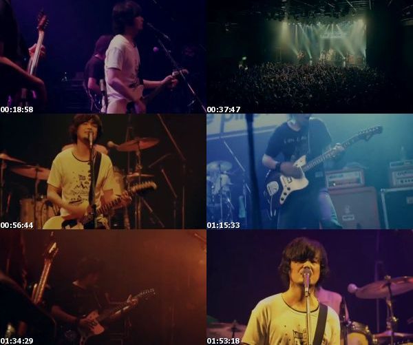 [TV-Variety] the pillows – 「RETURN TO THIRD MOVEMENT Vol.1」大阪 BIGCAT (2019.09.15)