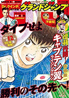 [雑誌] グランドジャンプ 2019年21号