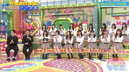 [TV-Variety] 191025 NMBとまなぶくん #331