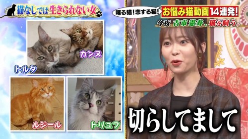 [TV-Variety] 191023 今夜くらべてみました (元HKT48 指原莉乃)
