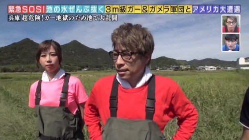 [TV-Variety] 191103 緊急ＳＯＳ！池の水ぜんぶ抜く大作戦 (AKB48 大家志津香)