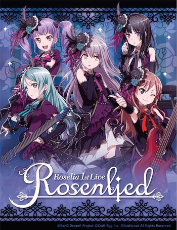 [TV-SHOW] BanG Dream! – Roselia 1st Live “Rosenlied” (2017.11.29) (DVDRIP)
