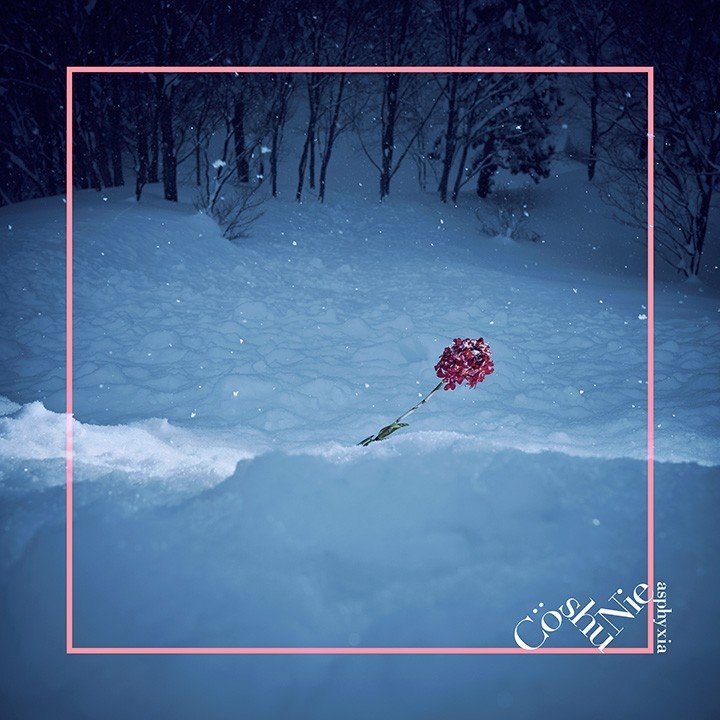 [Single] Cö shu Nie – asphyxia [FLAC / 24bit Lossless / WEB] [2018.06.06]