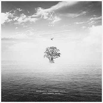 [Single] EXO – BIRD (2019.11.04/MP3/RAR)