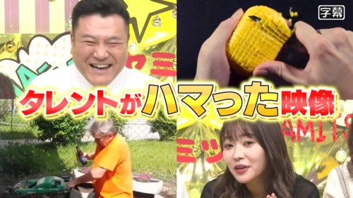 [TV-Variety] 200117 世界ヤミツキ映像フェス (元HKT48 指原莉乃)