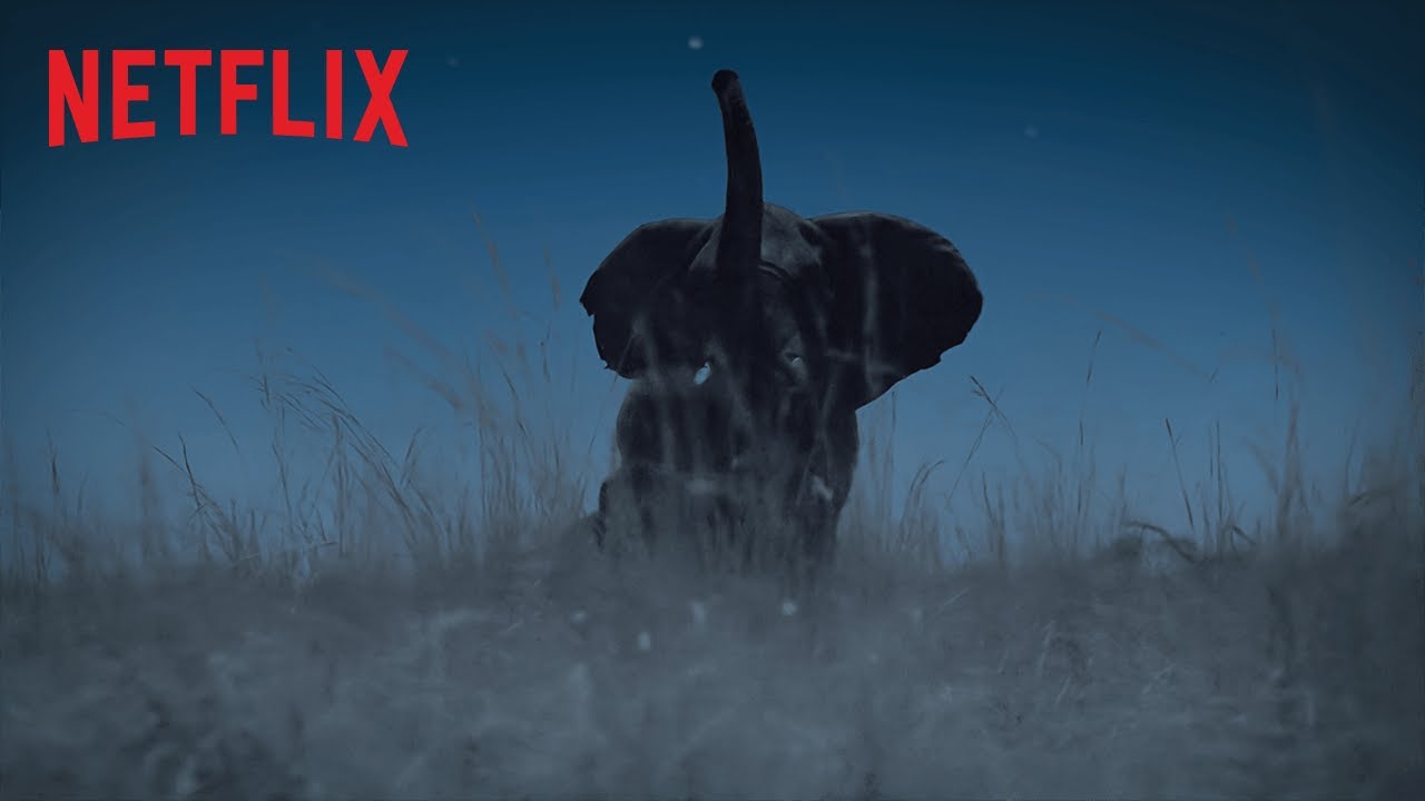 [ドラマ] ナイトアース 第1シーズン 全6話 (2020) (2K-WEBRIP)